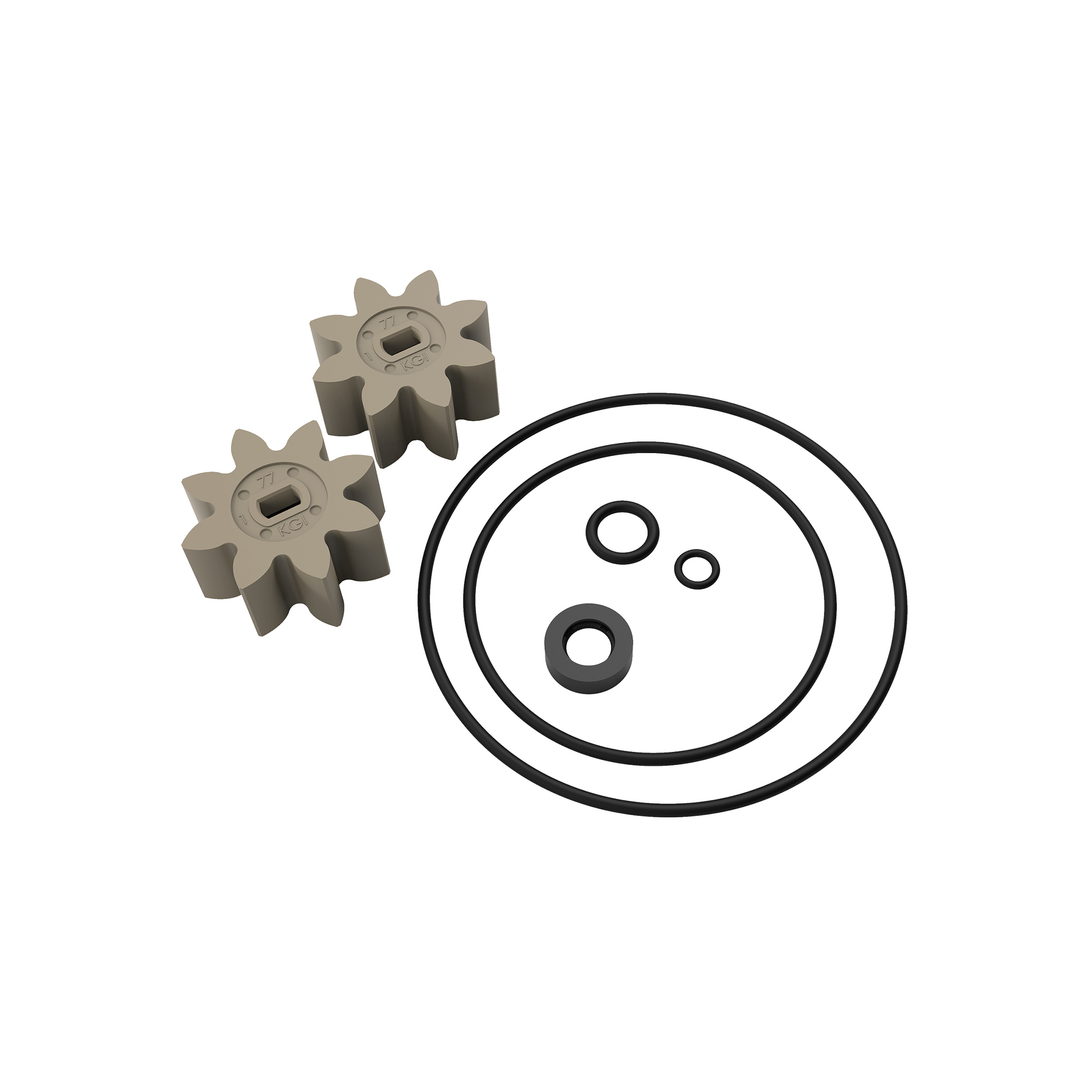 GPI EZ-8 Fuel Transfer Pump Rebuild Kit — Compatible with 2016 and Later Models, Model# EZ-8